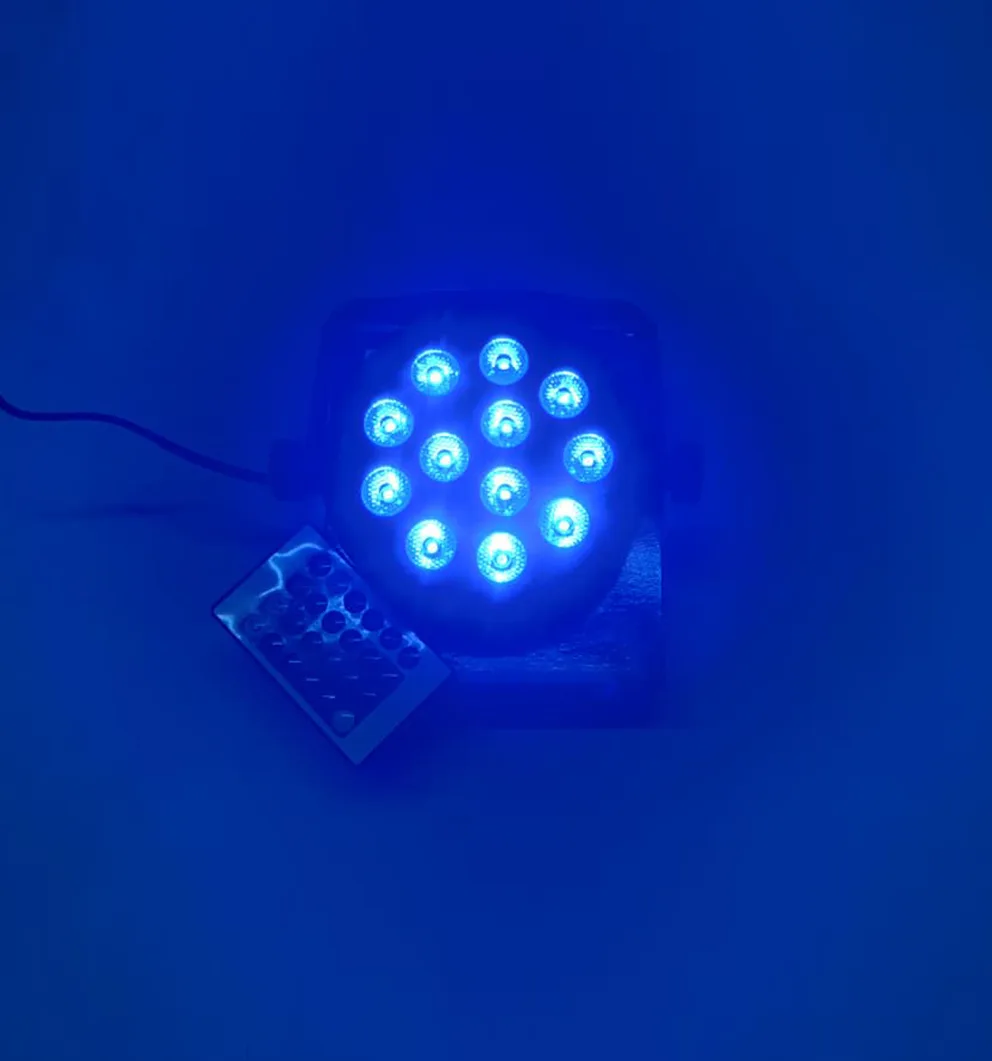 12 LED RGBW/UV Stage Par Light